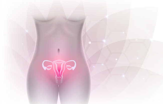 Studien und Therapieansätze zum weiblichen Mikrobiom.