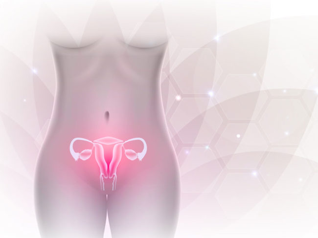 Studien und Therapieansätze zum weiblichen Mikrobiom.