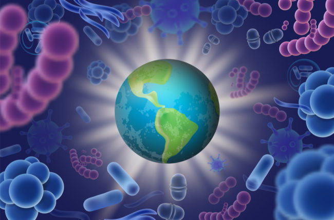 Siberian Art shutterstock_1240381021