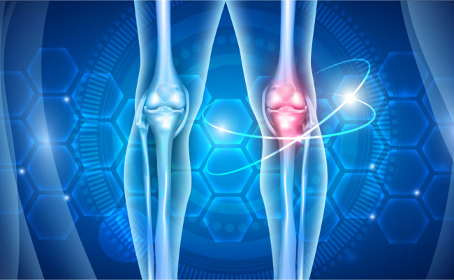 Tefi shutterstock_1306967293