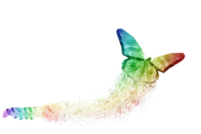 Van-Chan-shutterstock_1046072329-scaled-3