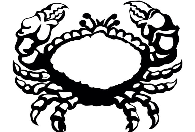 ArtMari shutterstock_1728002503