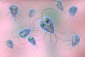 Darmparasiten Symptome