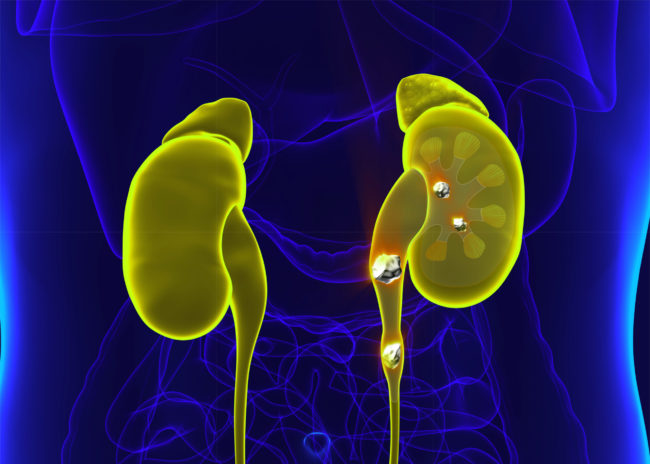 decade3d – anatomy online shutterstock_618563024