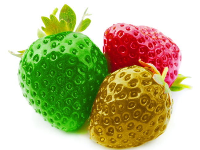 kirillov alexey shutterstock_270900998