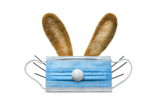 staukestock shutterstock_1890283075