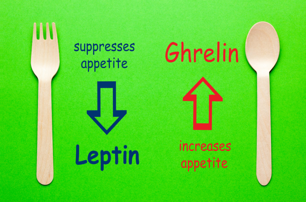 Einfluss von Leptin und Ghrelin bei Bulimie