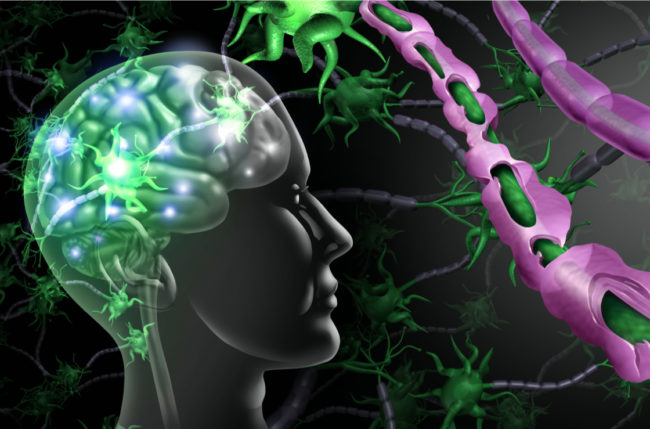 Lightspring shutterstock_1436984567