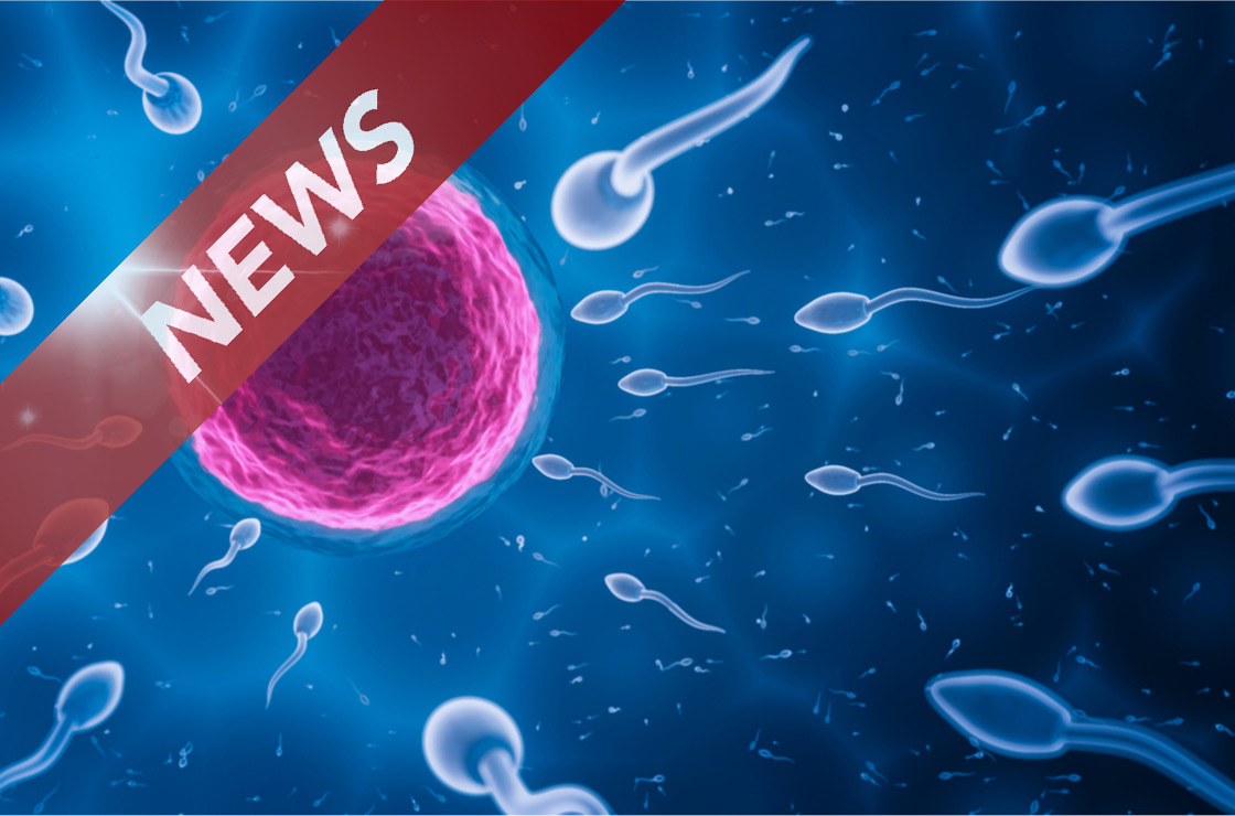 Fruchtbarkeit: Sperma in der Krise