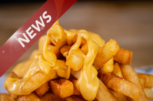 news-krebs-herz