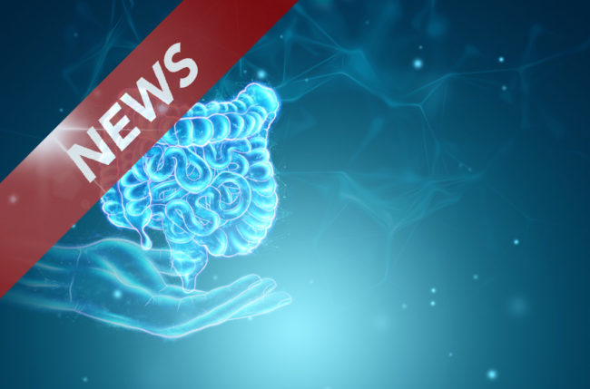 gehirn-news