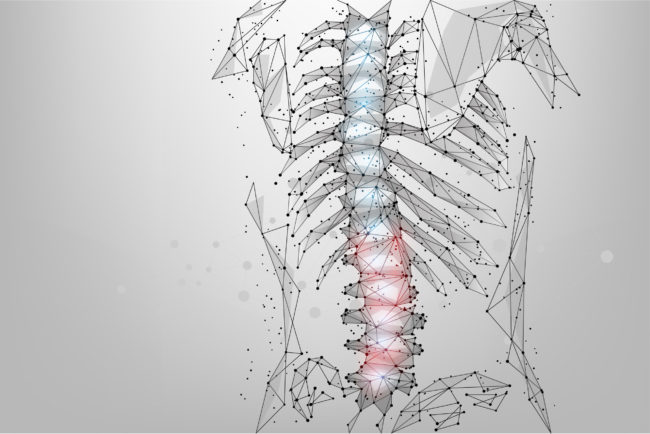 Abstract,Mesh,Line,And,Dot,Physiotherapy,Human,Spine.,Low,Poly