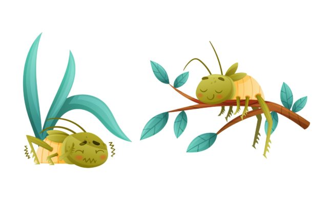 Cute,Little,Grasshopper,Character,Hiding,Under,Leaf,Shivering,With,Fear