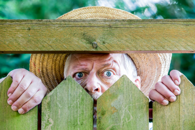A,Curious,Man,Looks,Over,A,Garden,Fence